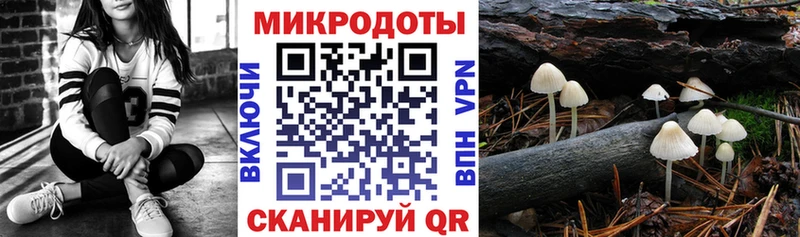 хочу Курск Галлюциногенные грибы прущие грибы